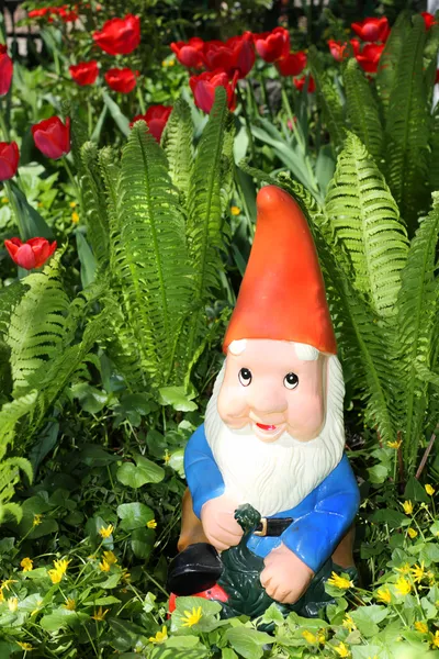 stock image Garden gnome