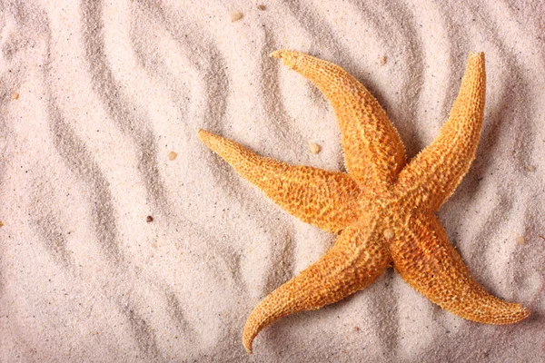 Звезда на песке — стоковое фото