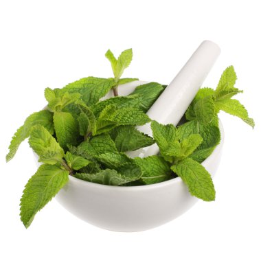 Mortar with mint clipart