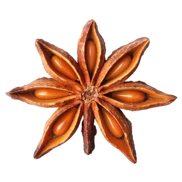 八角茴香 — 图库照片