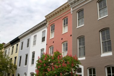 Row Houses clipart