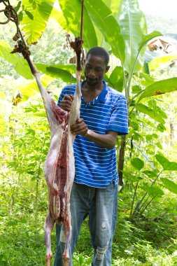 Man Butchering Goat clipart