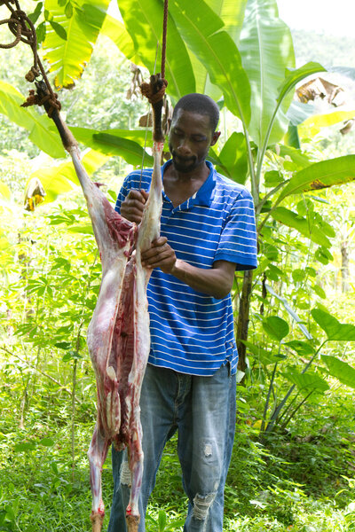 Man Butchering Goat