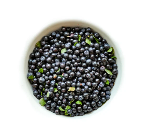 Blueberry on white background — Stock Photo, Image