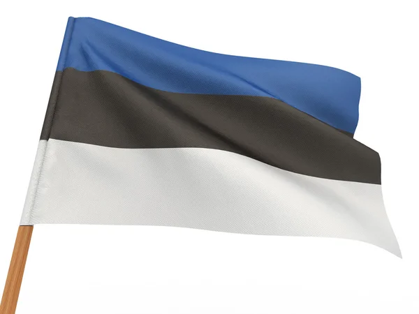 Flag of estonia — Stock Photo, Image