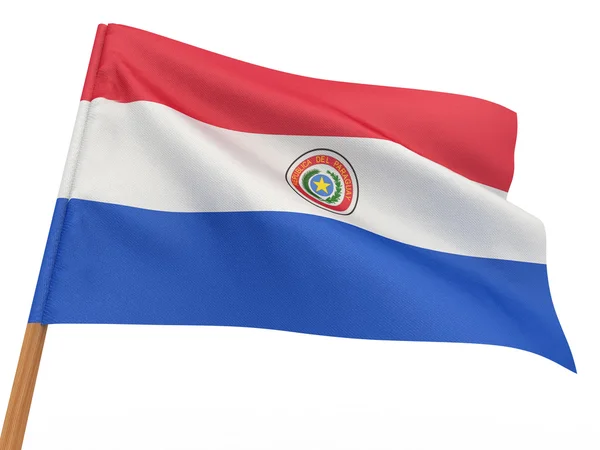 Flag flagrer i vinden. Paraguay - Stock-foto