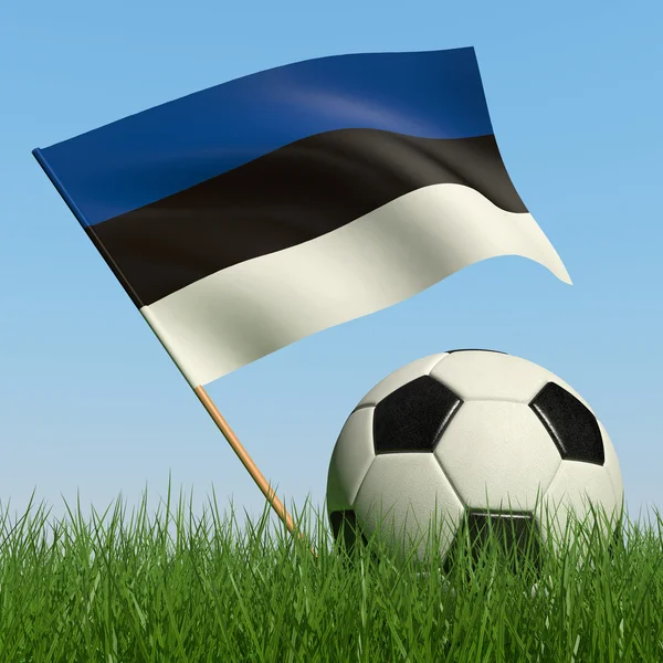 Fotbalový Míč Trávě Vlajka Estonska Proti Modré Obloze — Stock fotografie