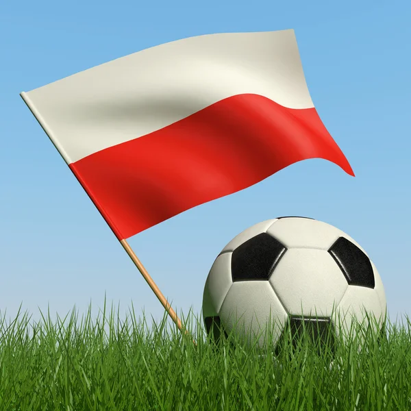 Pallone Calcio Nell Erba Bandiera Della Polonia Contro Cielo Blu — Foto Stock