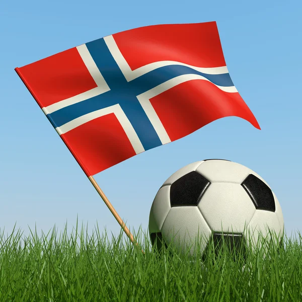 足球在草地和挪威国旗的反对蓝蓝的天空 — 图库照片