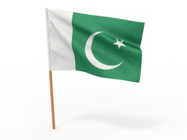 pakistan bayrağı