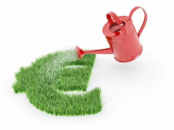 Watering lawns in the form of sign euro — Stock Photo, Image
