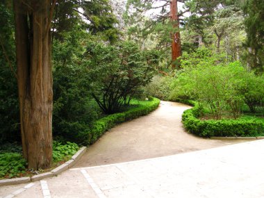 patika Park
