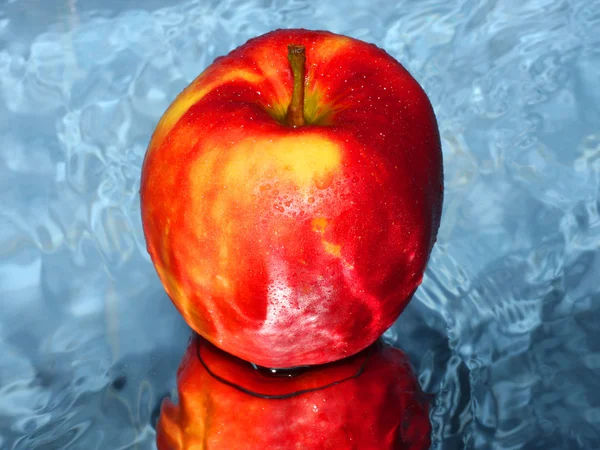 Red apple on water — Stok fotoğraf