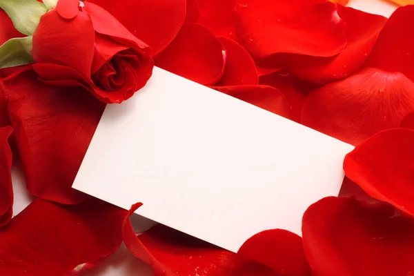 Τριαντάφυλλο και το μήνυμα σε ένα πέταλα. φόντο — Φωτογραφία Αρχείου