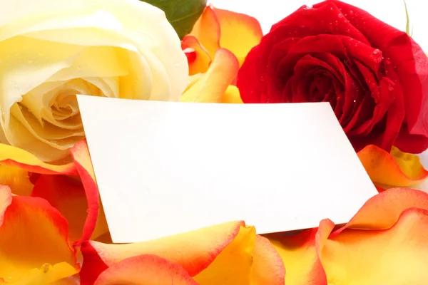 玫瑰和花瓣上的消息。背景 — 图库照片