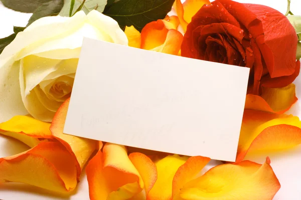 Rose e messaggio su un petalo. Contesto — Foto Stock
