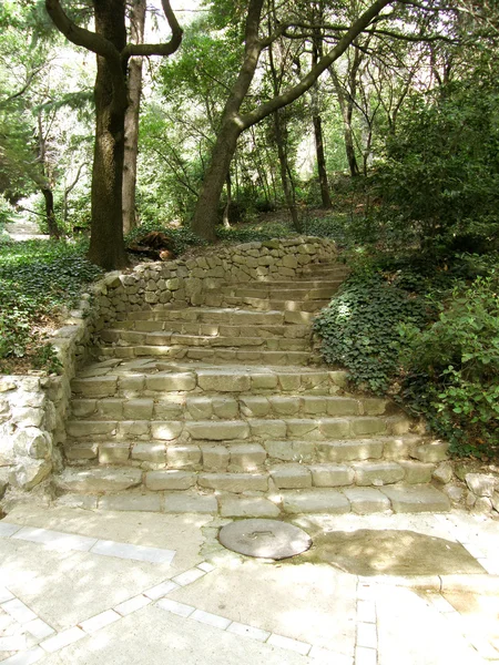 stock image Stairs in park