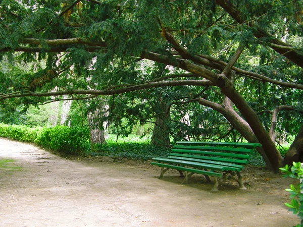 stock image Bench in park