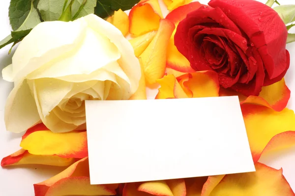 Rose en bericht op een bloembladeren. achtergrond — Stockfoto