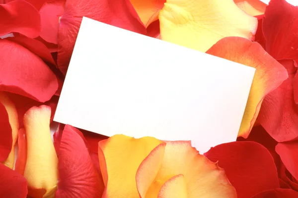 Botschaft auf einem Blütenblatt. Hintergrund — Stockfoto