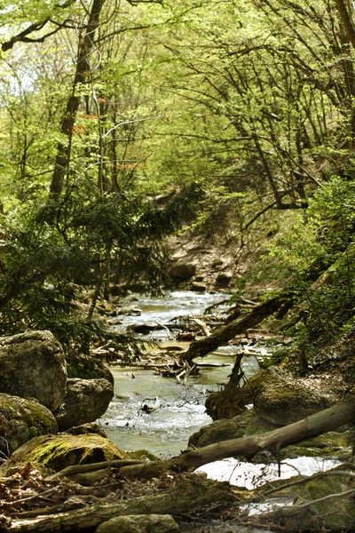 Stock image Waterfall Jur-Jur in Cremea.