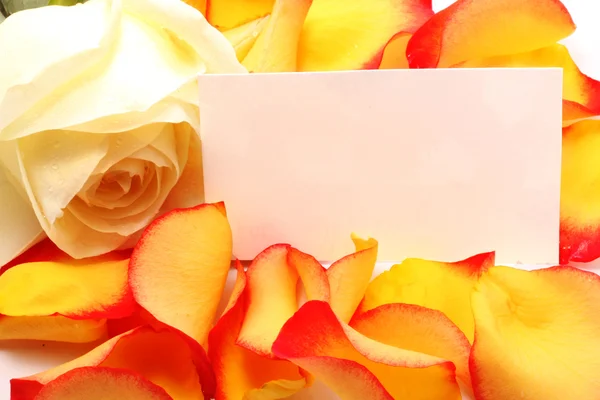 Rose e messaggio su un petalo. Contesto — Foto Stock