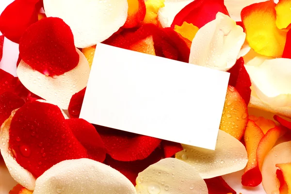 Message on a petals. Background — Stock Photo, Image
