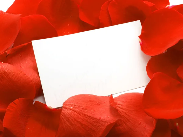 Message on a petals. Background — Stock Photo, Image