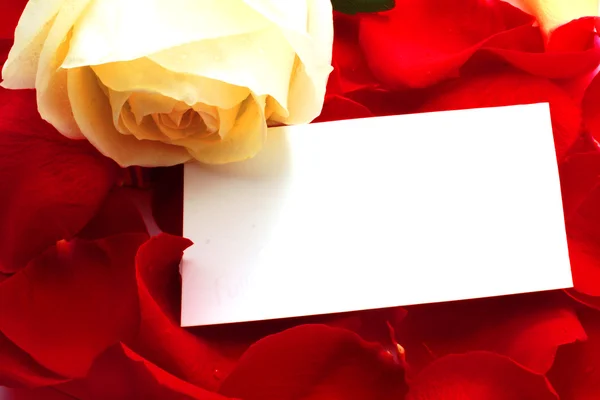 Rose und Botschaft auf einem Blütenblatt. Hintergrund — Stockfoto