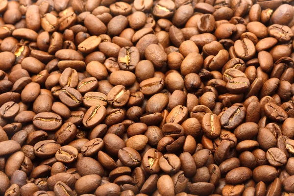 Kahve graines — Stok fotoğraf