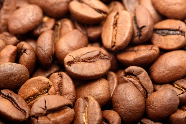 stock image Coffee Graines