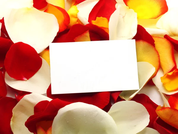 Message on a petals. Background Stock Photo