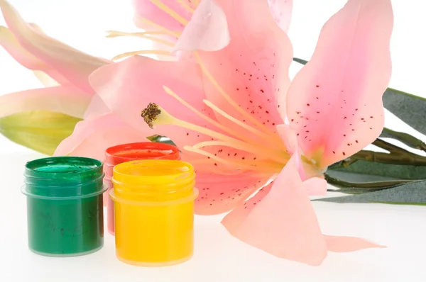 Flower and paints — Stock Photo, Image