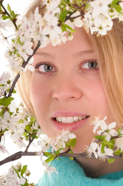 Prohlédněte si jarní květy — Stock fotografie