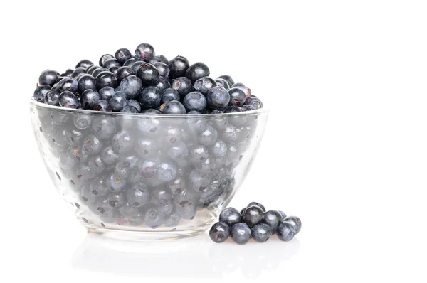 Dish with blueberries — Stock Photo, Image