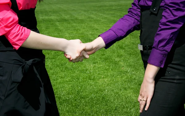 Women in business, handshake — Stockfoto