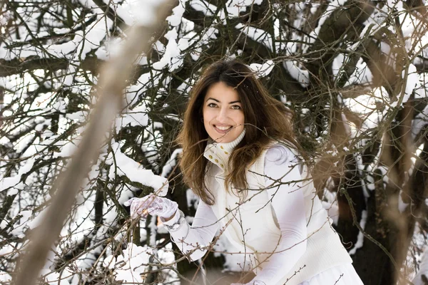 Novia en invierno cerca del árbol —  Fotos de Stock