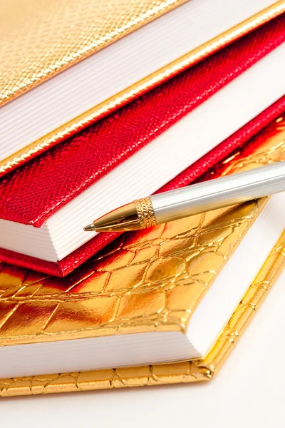 Caderno dourado com caneta de prata — Fotografia de Stock