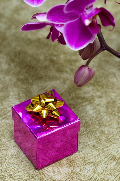 Caixa de presente com orquídea roxa — Fotografia de Stock