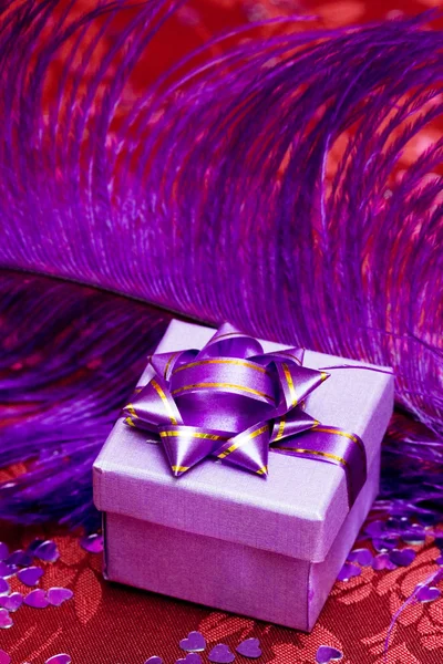 紫色の羽を持つギフトボックス — ストック写真