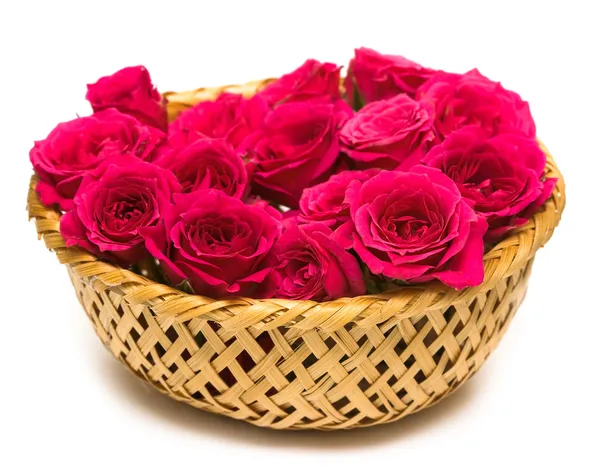 Magenta roses in basket — Stock Photo, Image