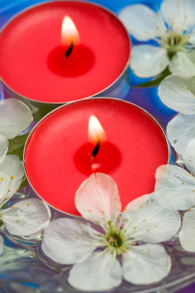 Свічка з весняними квітами — стокове фото
