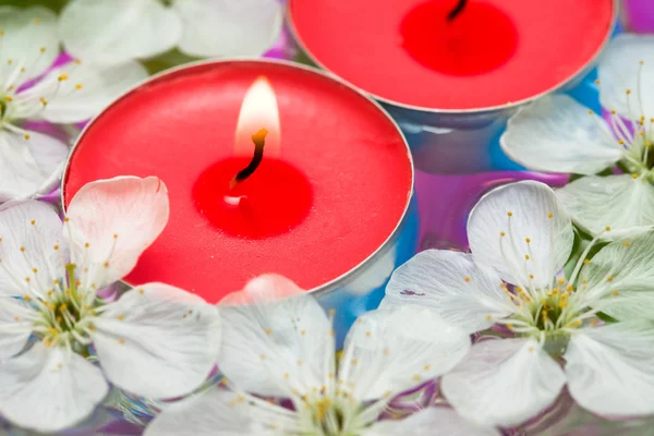 蜡烛与春天的花朵 — 图库照片