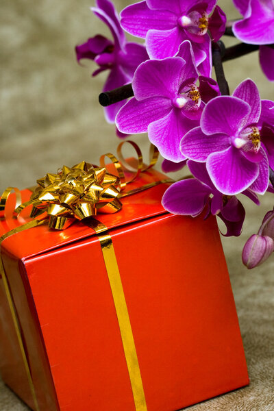 Gift box with purple orchid