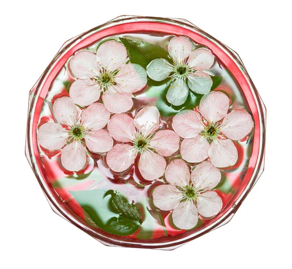 Весенние цветы сакуры в воде — стоковое фото