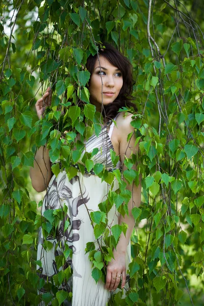 Красива дівчина в березовому лісі — стокове фото