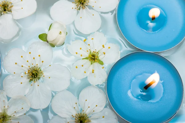 Свічка з весняними квітами у воді — стокове фото