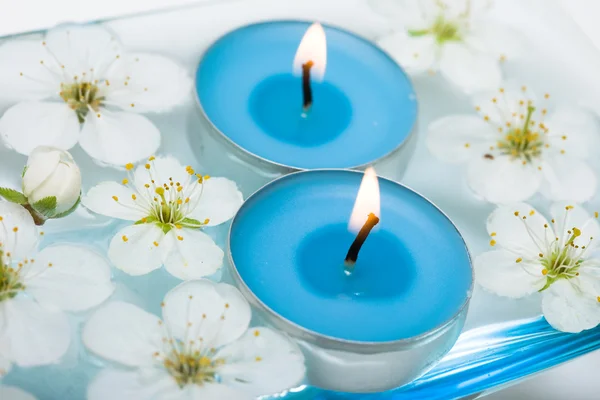 Свічка з весняними квітами у воді — стокове фото