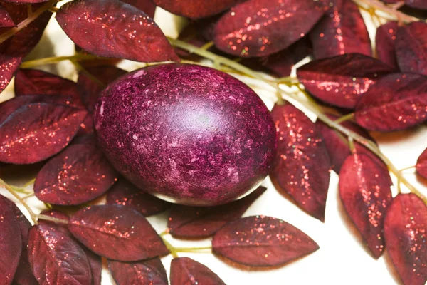 Velikonoční vajíčko s červenými listy — Stock fotografie