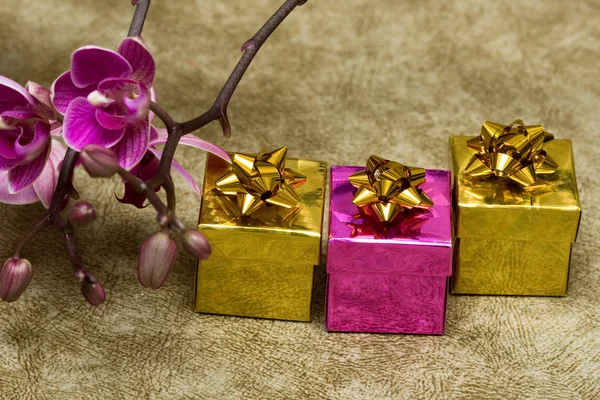 Geschenkschachteln mit lila Orchidee — Stockfoto